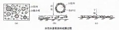 揭秘水包水多彩仿大理石效果实现原理？